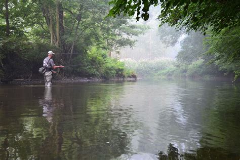 forelvijver ardennen|Forel vangen in de visserij van Bra